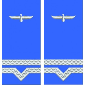 GRADE MAISTRU MILITAR CLASA 4 FORTE AERIENE